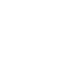 Icon Bettwanzenbekämpfung