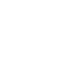 Icon - Wespenbekämpfung