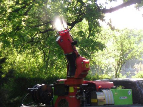 Eichenprozessionsspinner Prävention mit Sprühkanone