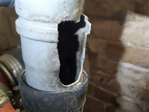 Rattenbekämpfung - Fraßschaden am Rohr