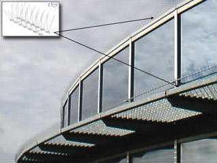 Taubenabwehrsysteme - Taubenspikesmodul